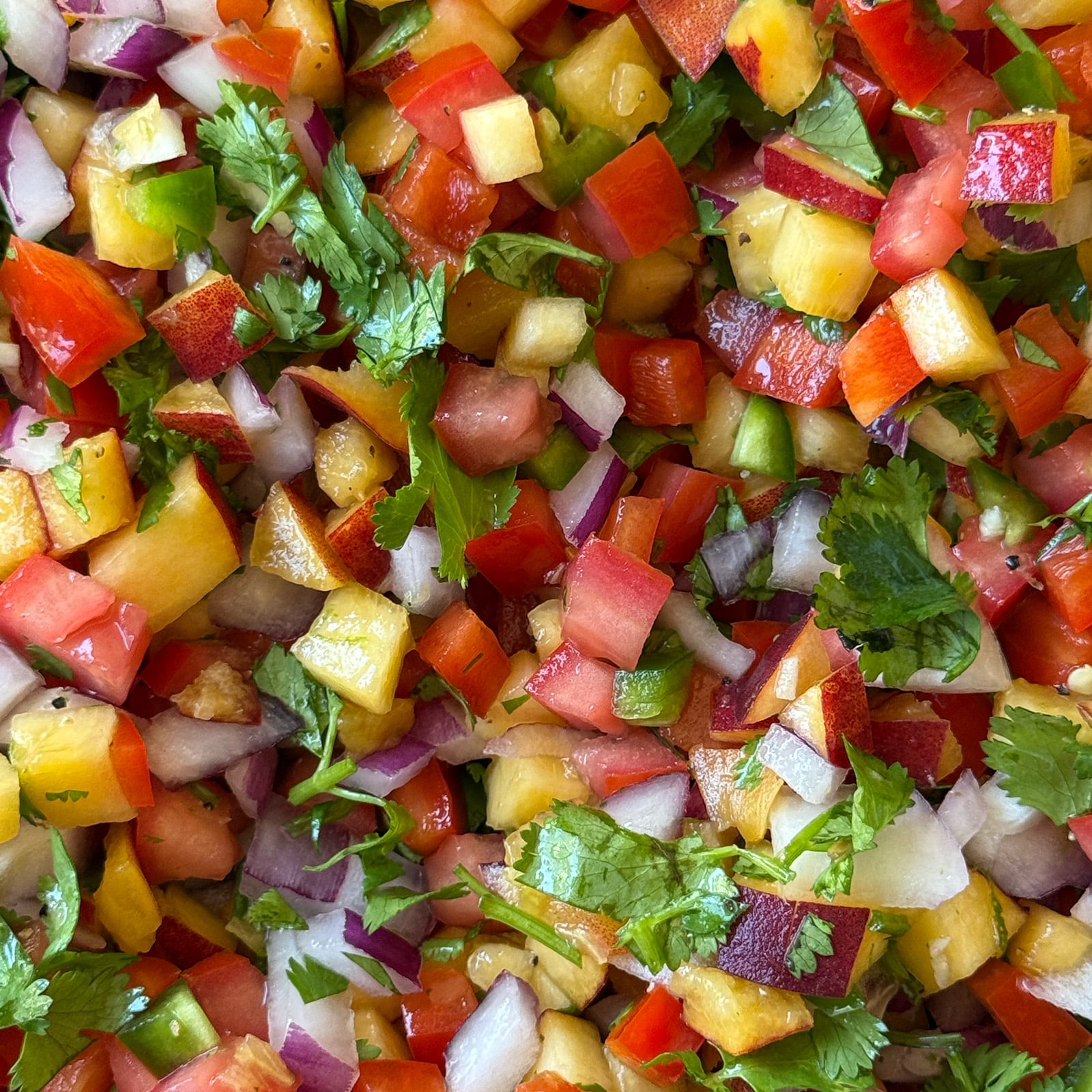 Close-up macro shot of peach salsa showing diced peaches, red bell pepper, roma tomato, red onion, jalape&ntilde;o, and fresh cilantro glistening with lime juice