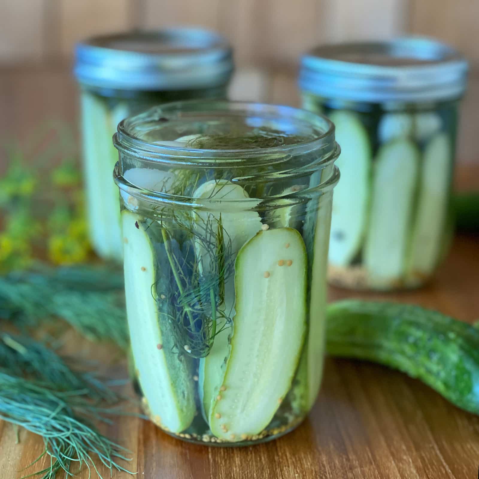 Three mason jars of easy dill pickles on a wooden surface with fresh dill sprigs and whole pickling cucumbers, showing cucumber spears packed tightly inside with visible mustard seeds and dill fronds