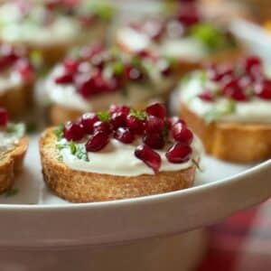 Pomegranate Goat Cheese Appetizer Close Up