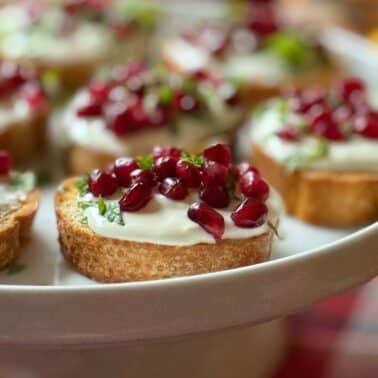 Pomegranate Goat Cheese Appetizer Close Up