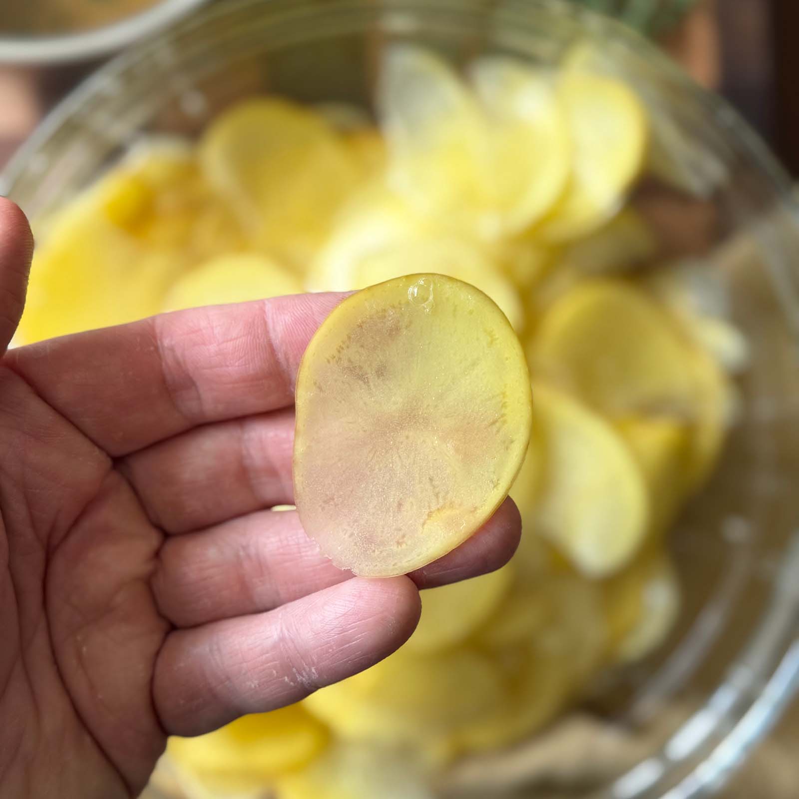 Thin Sliced Potato in Hand