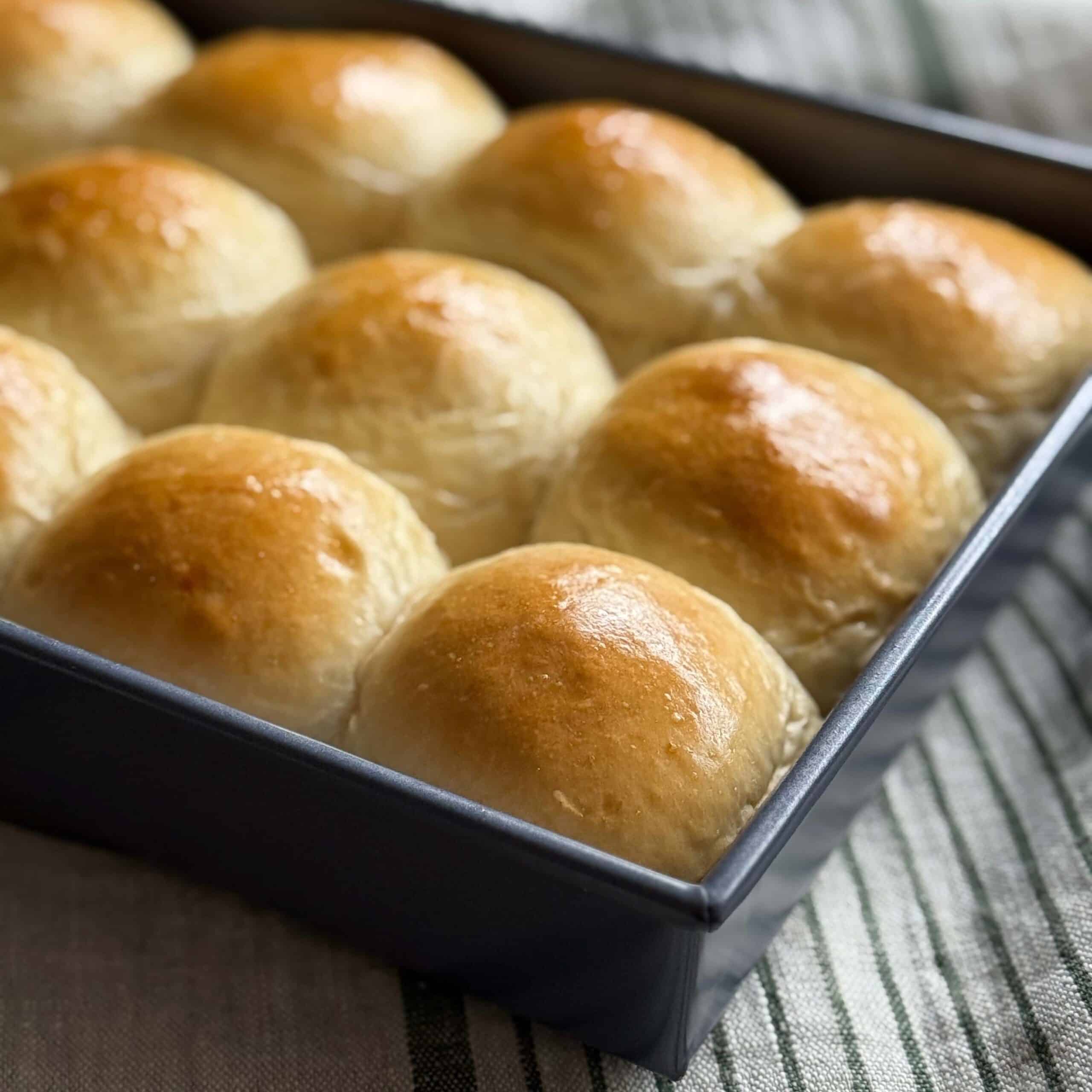 Yeast Dinner Rolls in a Pan