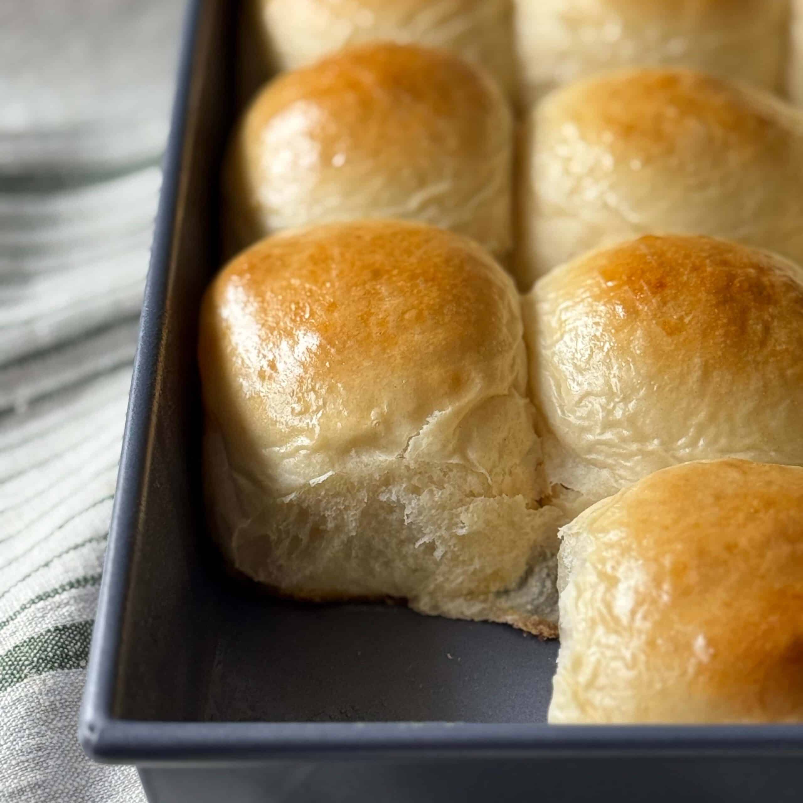 Yeast Dinner Rolls one removed from pan