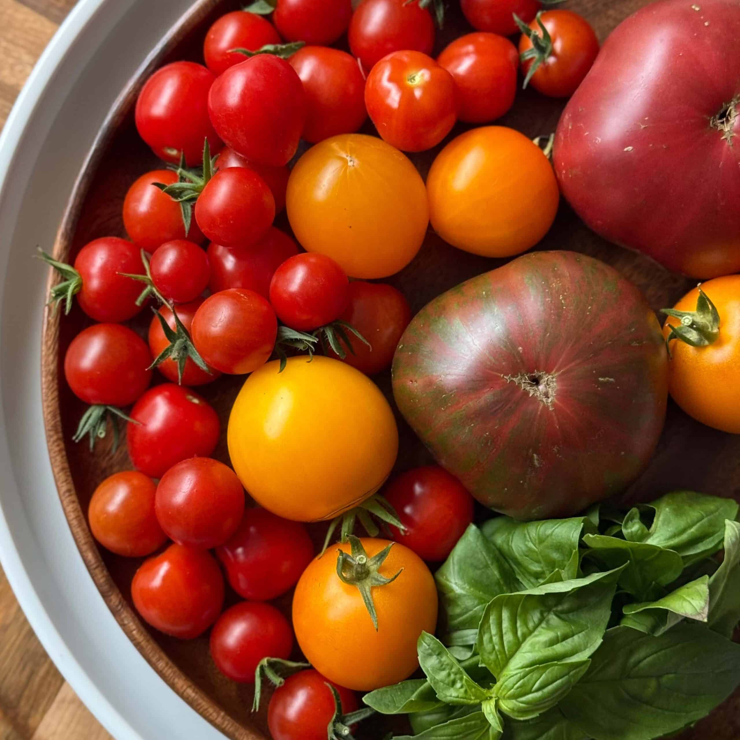 Mix of cherry, heirloom, and Lemon Boy tomatoes for burrata peach salad with tomatoes