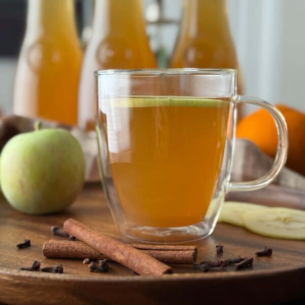 Mug of Hot Apple Cider