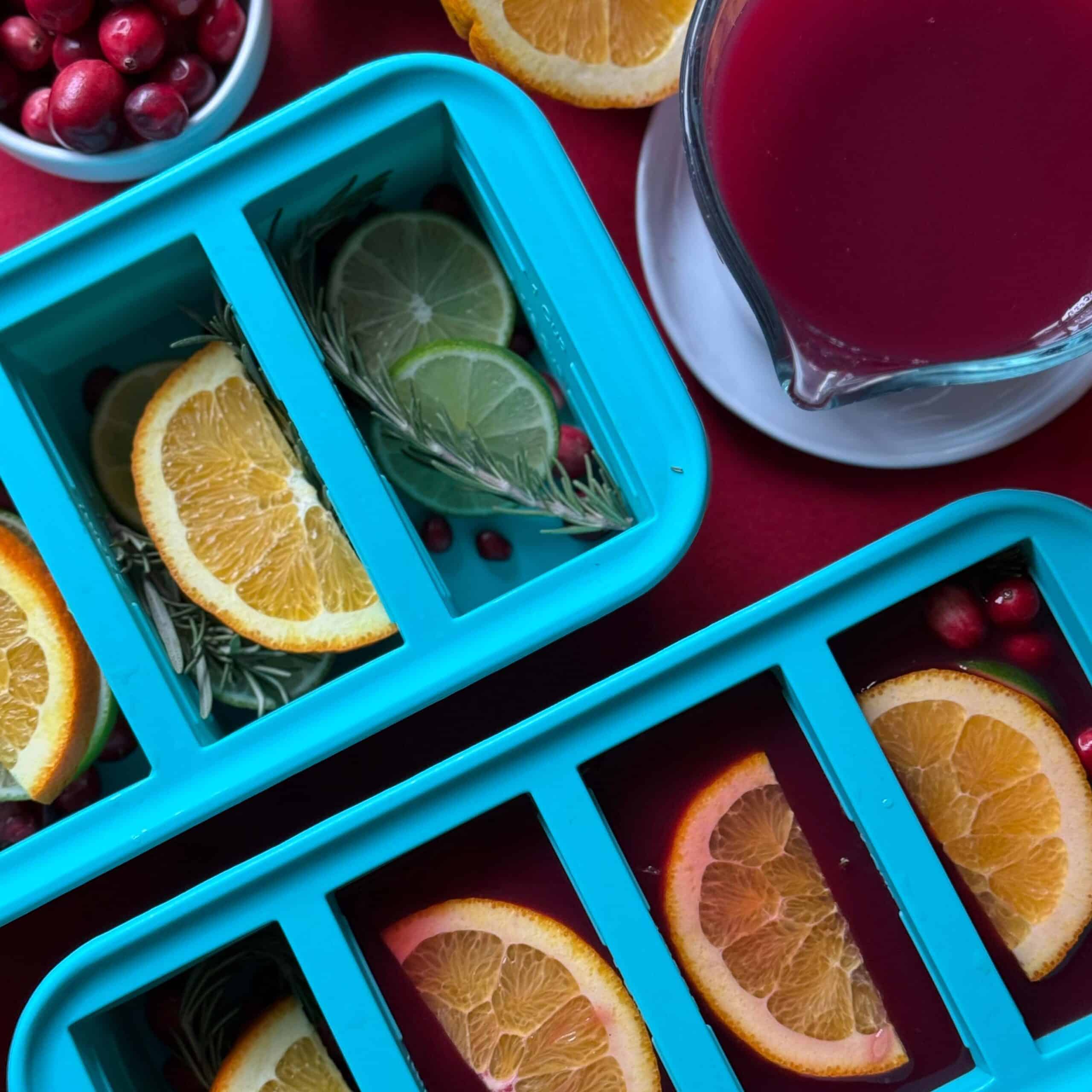 Christmas Cocktail Ice Cubes