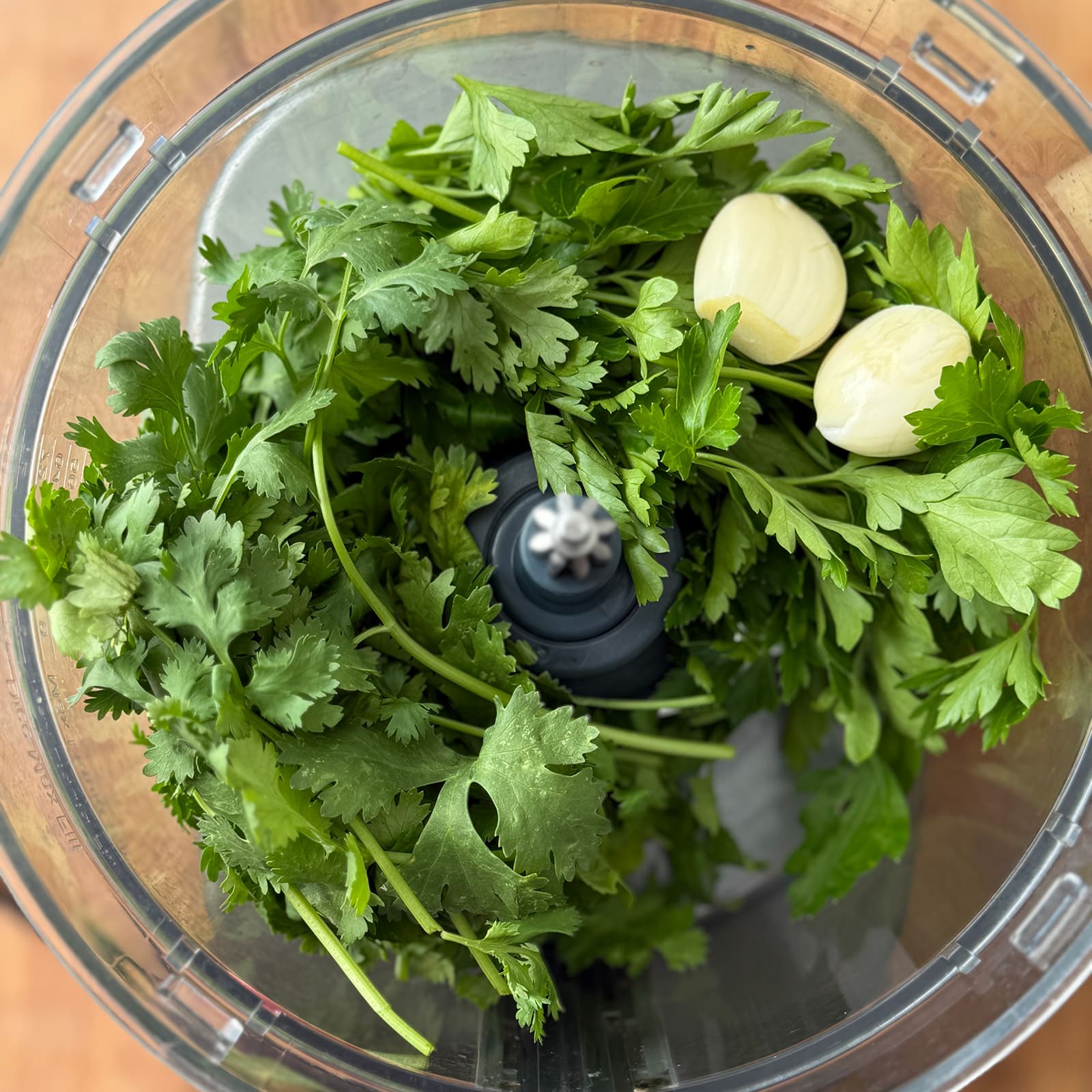 Fresh Herbs and Garlic in a Food Processor