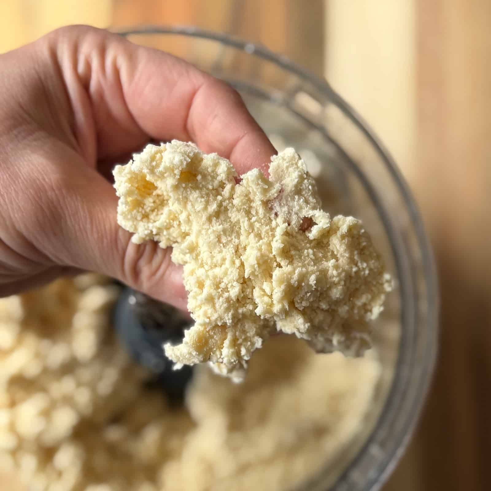 Pie Crust Dough Pinch Test